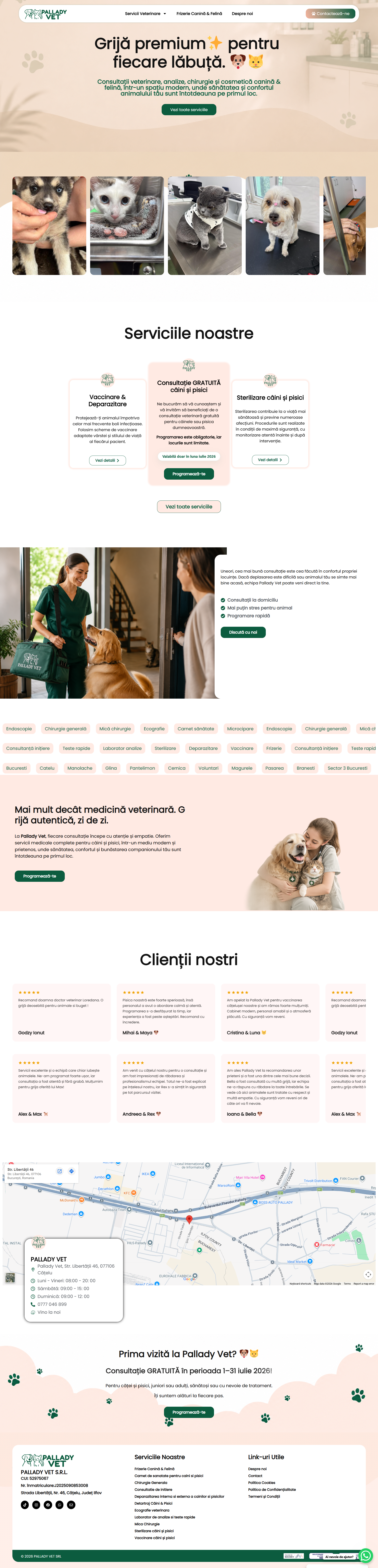 Site de prezentare palladyvet.ro, pentru un cabinet veterinar